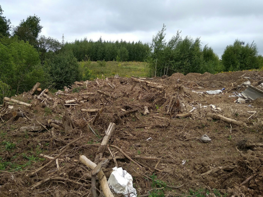 Изображение к жалобе