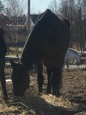 Изображение к жалобе