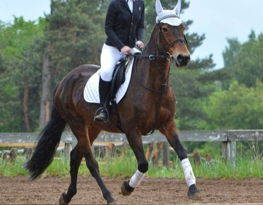 Изображение к жалобе