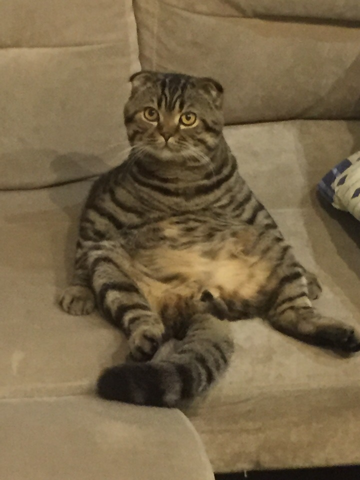 Изображение к жалобе