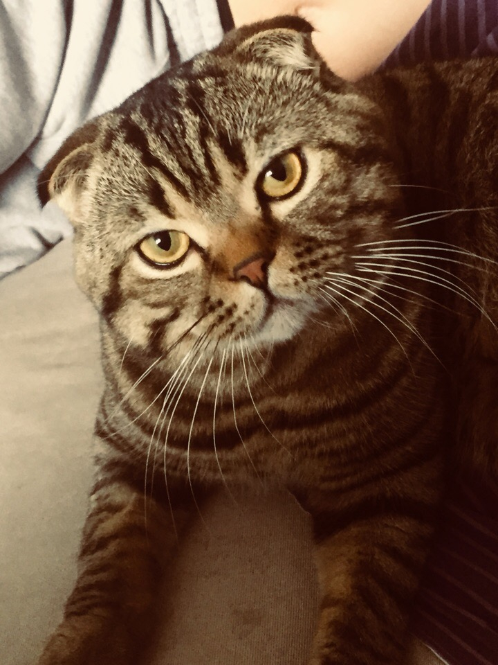 Изображение к жалобе