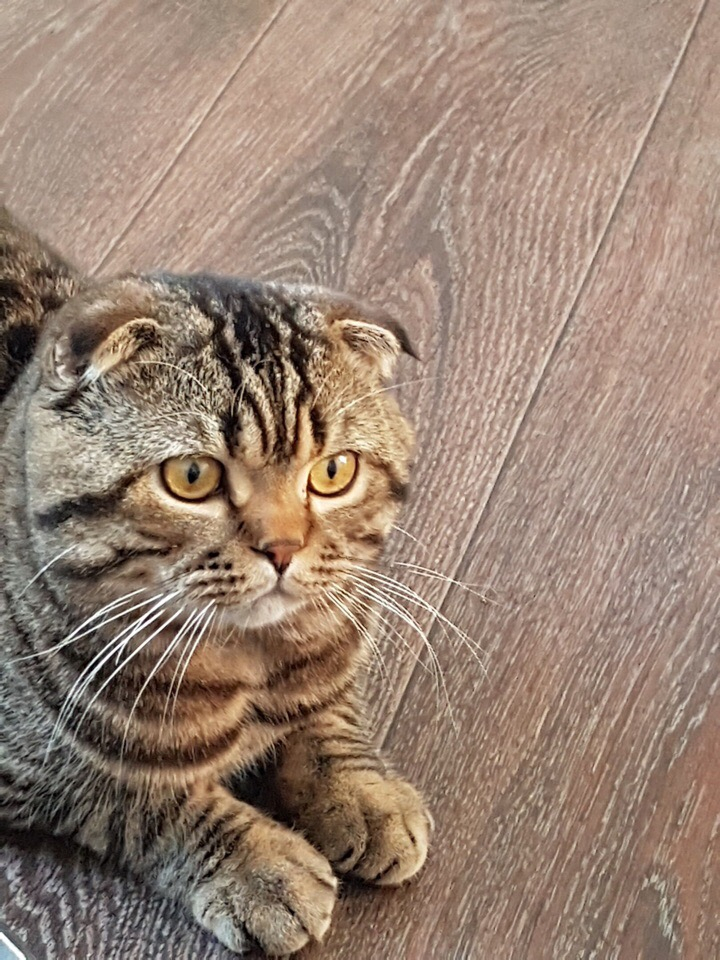 Изображение к жалобе