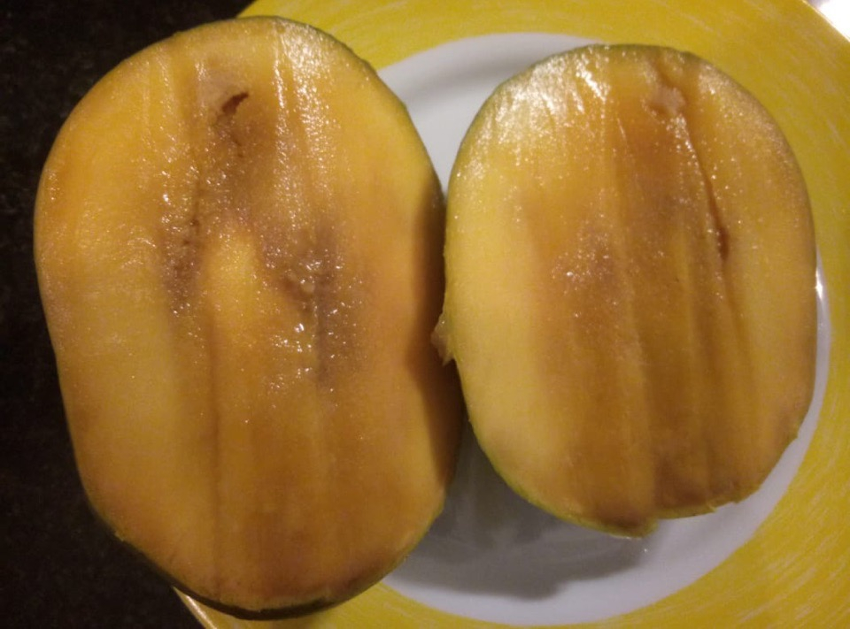 Испорченный манго внутри фото как выглядит