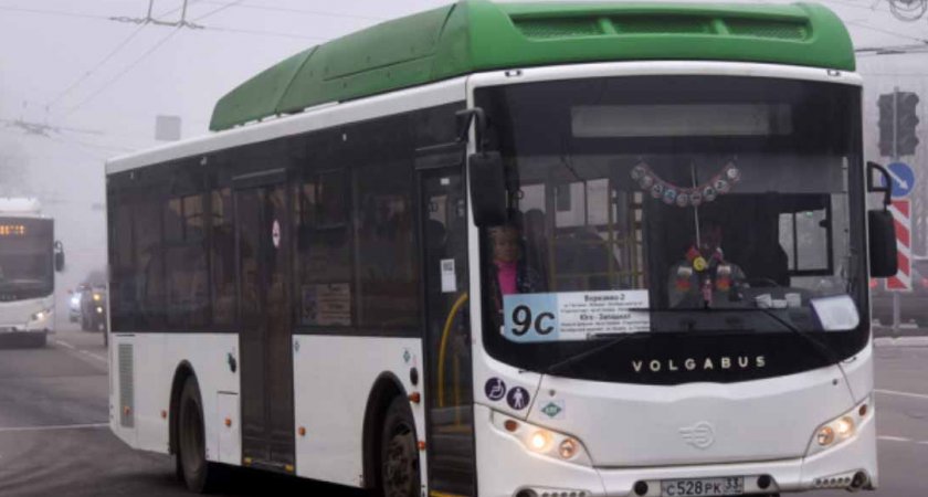 7 автобусных маршрутов во Владимире выставят на торги