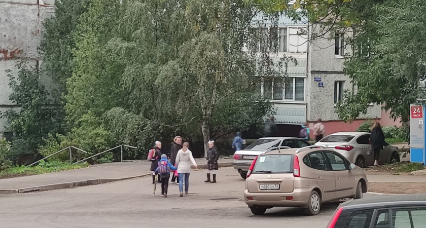Областные чиновники поддержали установку зебры со светофором на улице Сперанского