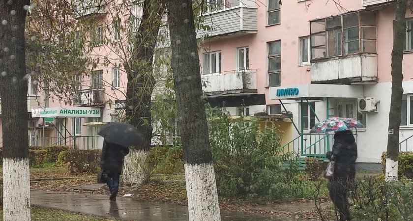 Погода: владимирцев ожидает затяжной дождь на весь день