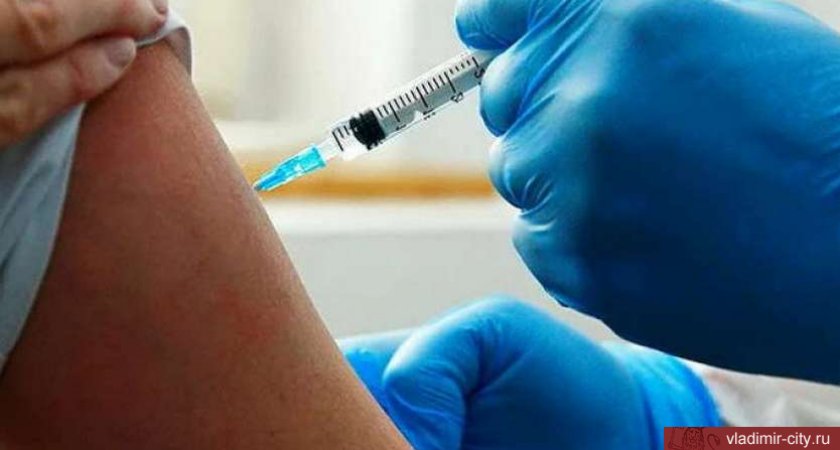 Во Владимире обновили график работы прививочных центров