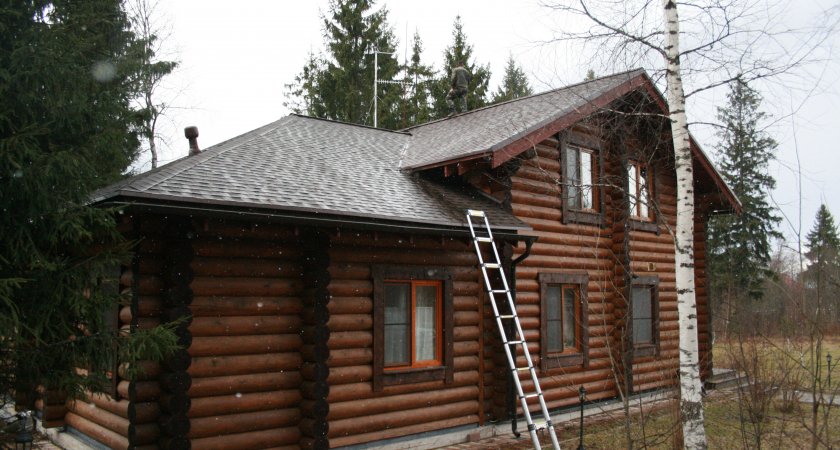 Владимирцы и гости из столицы вновь обосновались в пригороде 