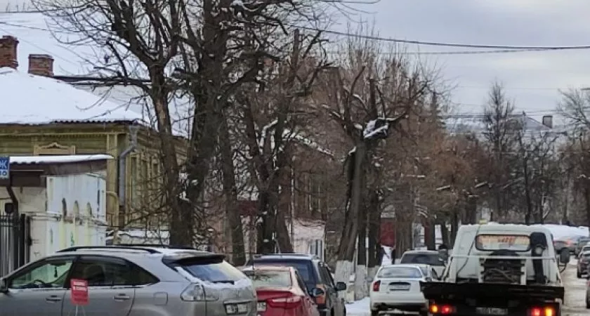 Фото к статье: Шквальный ветер надует к вечеру метель, заморозки и гололедицу