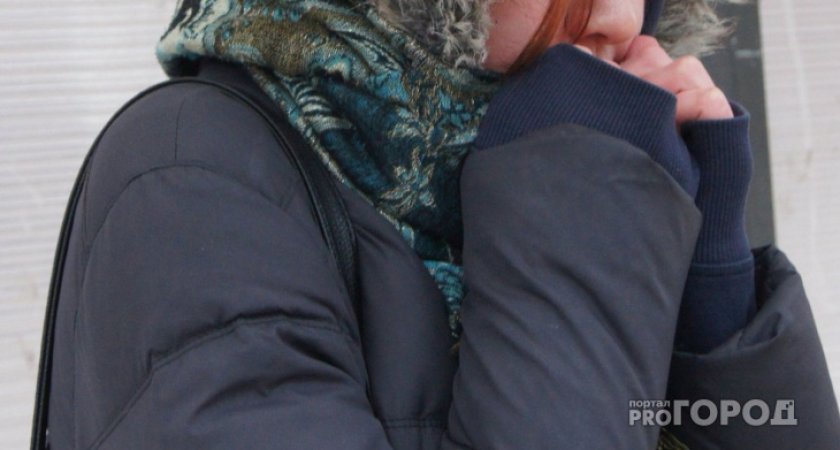 Сегодня владимирцев ждёт самый холодный день декабря