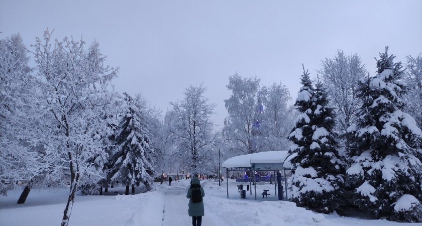 Оттепели и мороз: владимирцев в январе ждут "температурные качели"
