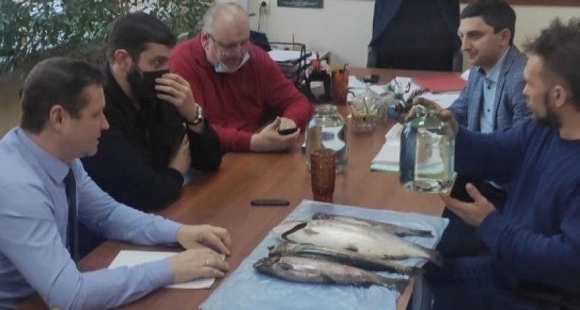 Во Владимирской области будут выращивать радужную форель