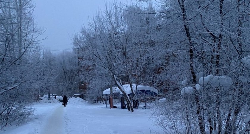 Синоптики: "В конце января владимирцев ждёт потепление"