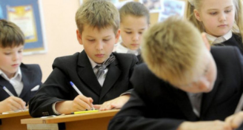 Ещё две владимирские школы полностью перешли на удалёнку