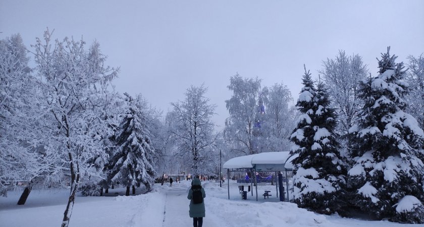 Синоптики предупредили владимирцев о снегопадах и "температурных качелях" в феврале