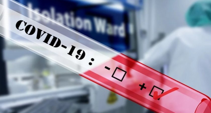 За сутки во Владимирской области заболели коронавирусом 502 человека