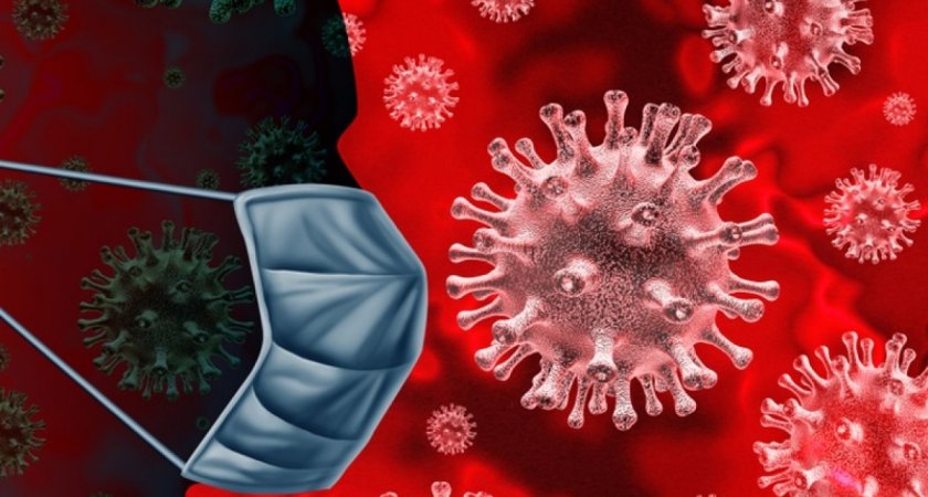 За сутки во Владимирской области заболели коронавирусом 449 человек