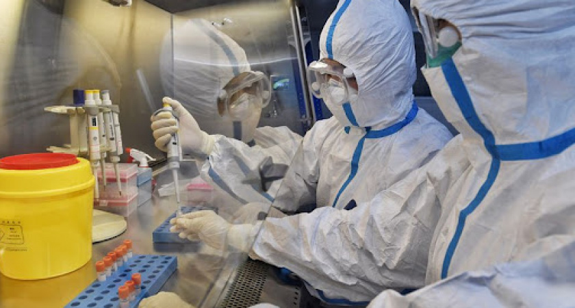 В России обнаружили более заразный штамм коронавируса