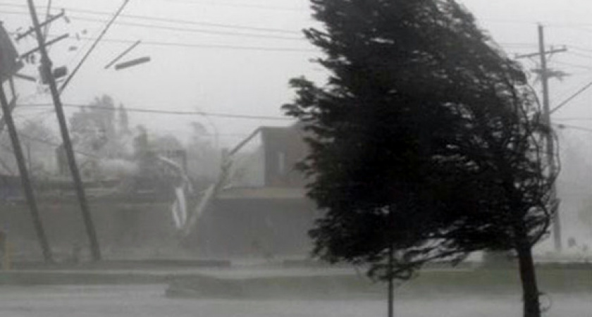 Спасатели предупреждают владимирцев об очень сильном ветре