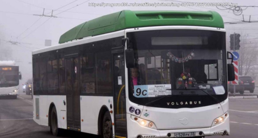 На 5 автобусных маршрутов во Владимире ищут перевозчика