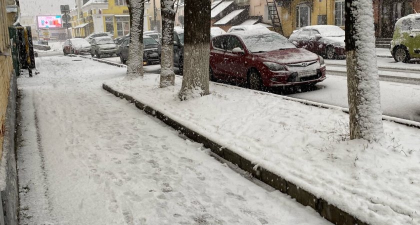 Ныряющий циклон принесёт во Владимир мощный снегопад и штормовой ветер