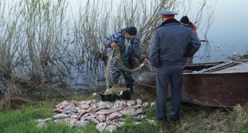 Нижегородские браконьеры заставили сетями водоёмы заказника под городом Меленки