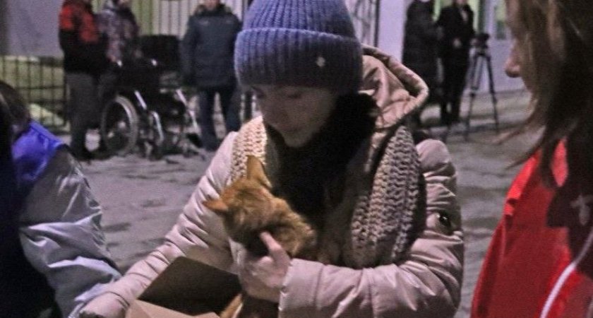 В ответе за тех, кого приручили: беженцы из ДНР и ЛНР приехали во Владимир с животными