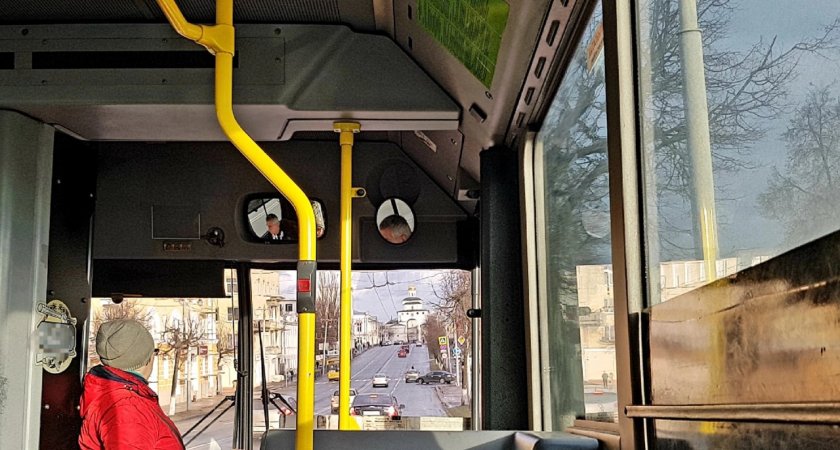 Владимирские перевозчики высказались о сокращении количества рейсов