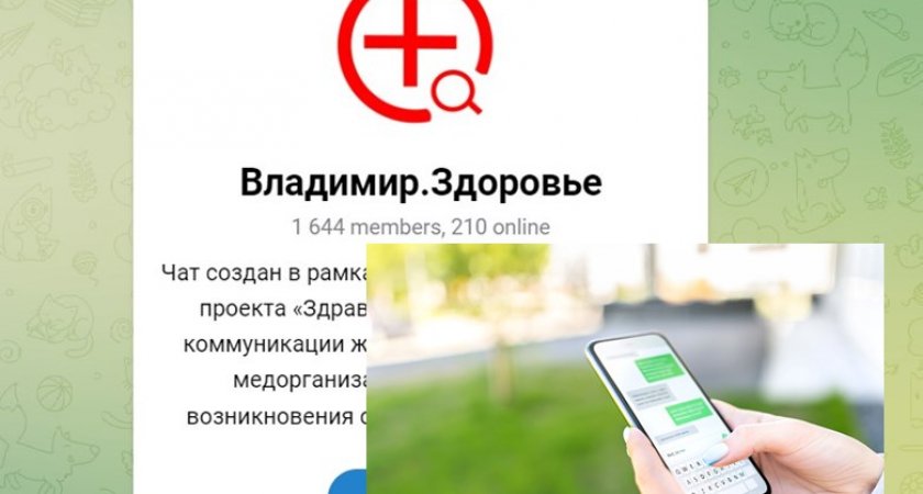 Владимирцы могут задавать вопросы про здоровье через телеграм-каналы
