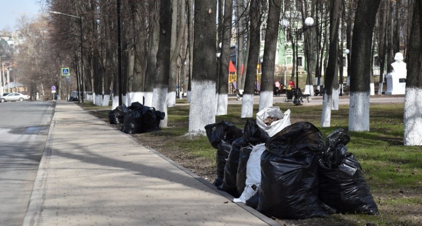 Из-за непогоды во Владимире могут изменить формат проведения субботника