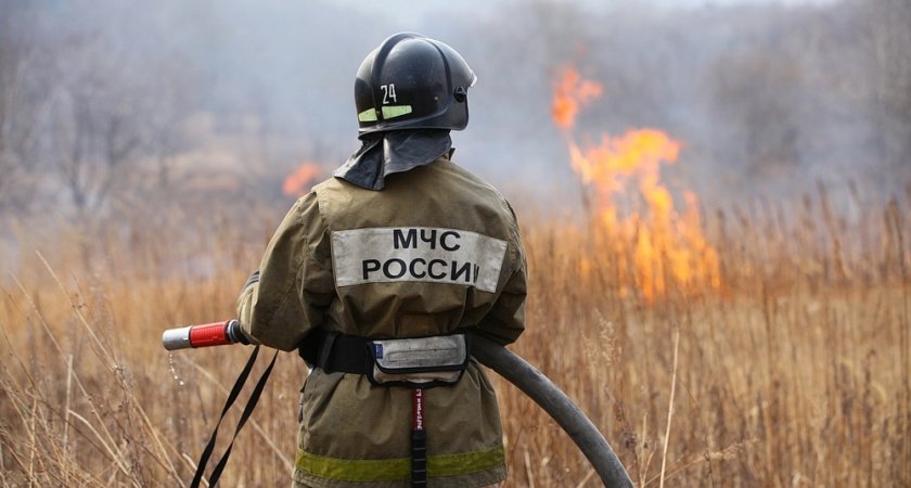Во Владимирской области начал действовать особый противопожарный режим