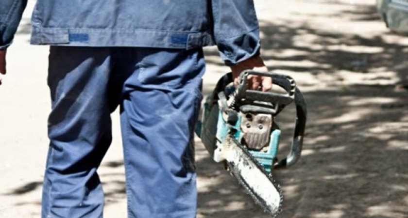 В Гусь-Хрустальном районе мужчина похитил бензопилу и арбалет