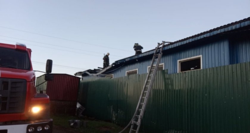 Пожарные ликвидировали пожар площадью 200 квадратных метров в Киржачском районе