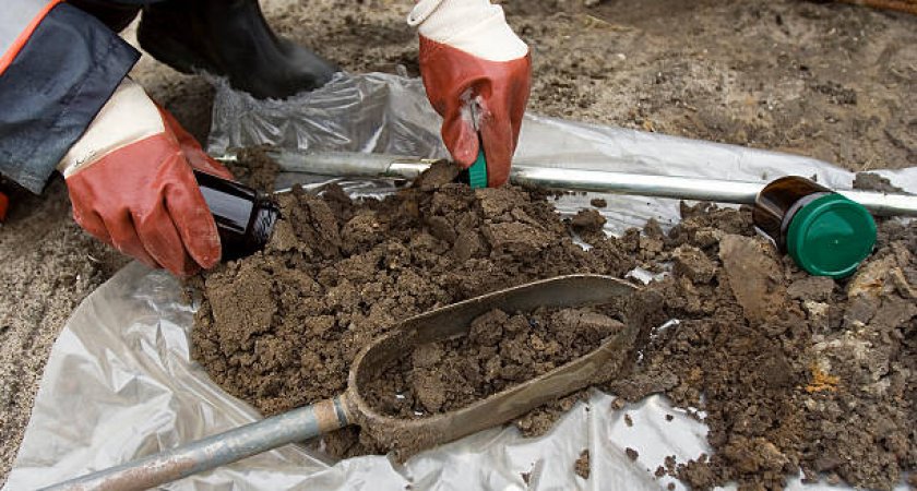 В землях Собинского района нашли кишечную палочку и тяжелые металлы