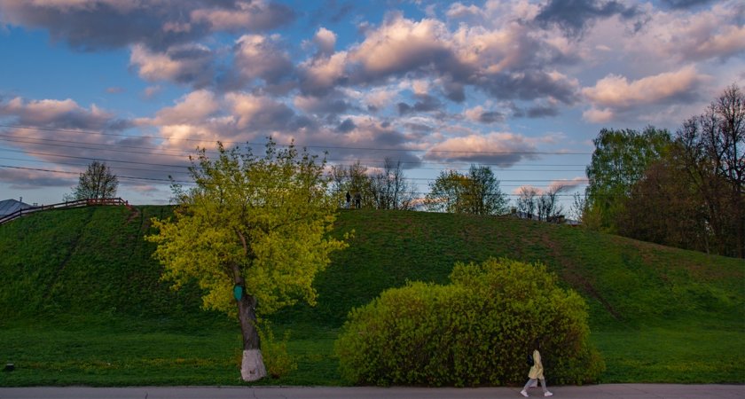 Стало известно, надолго ли во Владимир пришло летнее тепло