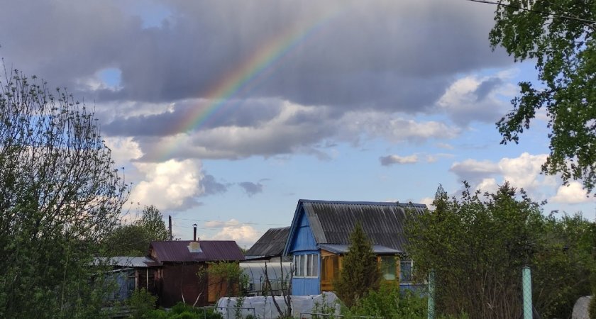 Метеорологи пообещали владимирцам "медовое" лето