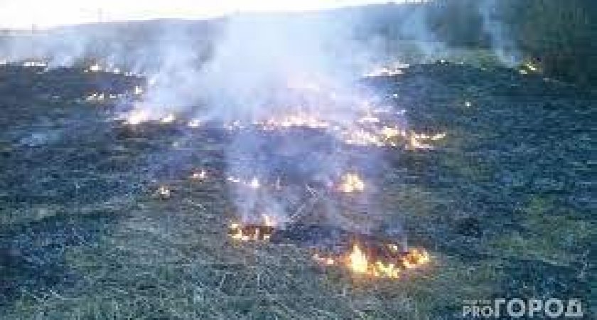 Владимирцы за сжигание травы будут платить больше