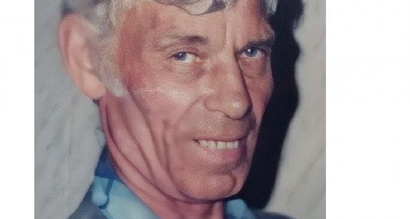 Во Владимирской области несколько дней ищут пенсионера из деревни