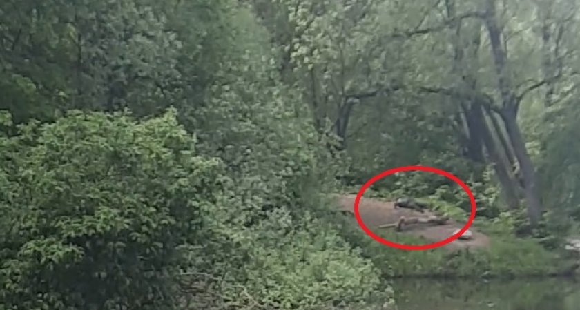 Во Владимире у пруда нашли труп мужчины