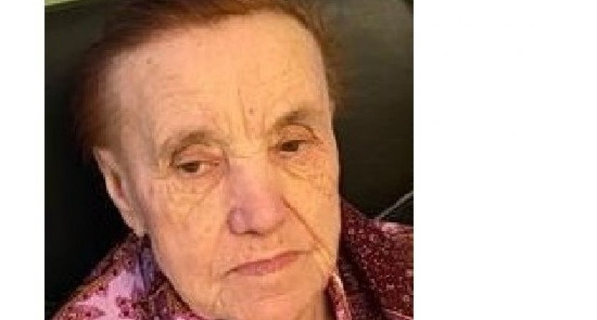 Во Владимирской области разыскивают пенсионерку из Подмосковья и двух местных мужчин