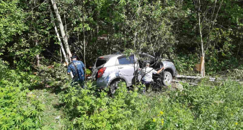ДТП с пострадавшими: на дороге в Гусь-Хрустальном машина врезалась в дерево