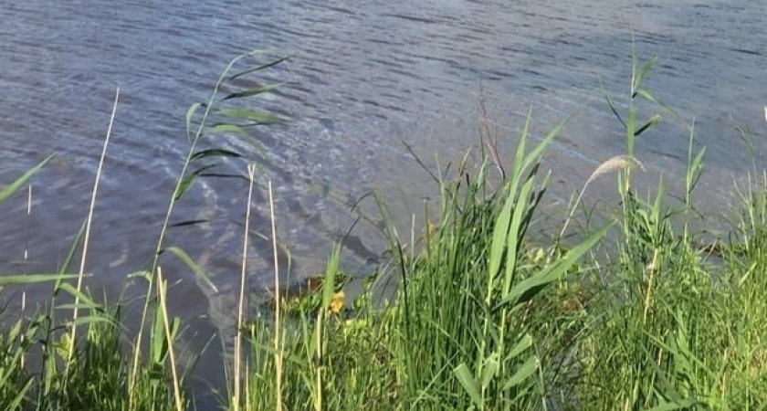 В Юрьев-Польском районе мужчина утонул, спасая женщину