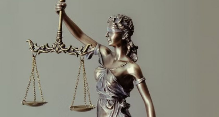 В Муроме будут судить женщину за дискредитацию спецоперации на чужом автомобиле