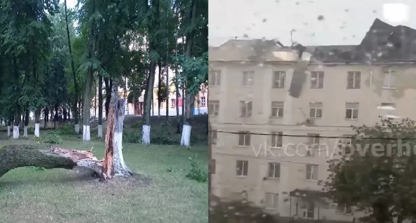 Фото к статье: Поваленные деревья и сорванные крыши: последствия грозы во Владимире и области