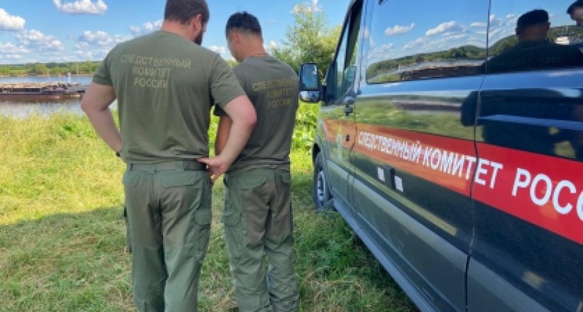 В Меленках на пруду утонула 13-летняя девочка, пытавшаяся научиться плавать