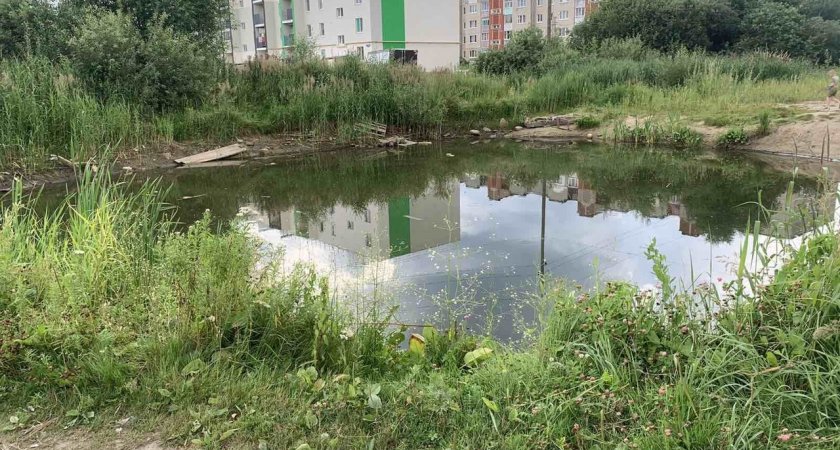 Шестилетний мальчик утонул в пруду в Собинке