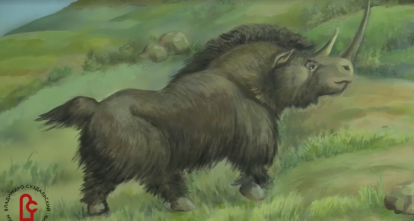 Во Владимирской области нашли современника мамонта