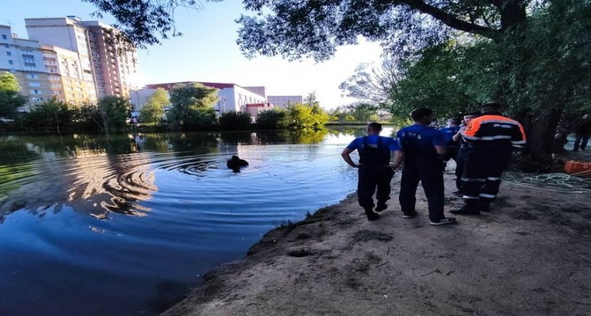 На Соловьином пруду во Владимире утонул мужчина