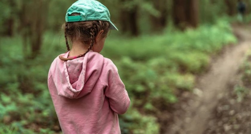 В Ковровском районе спасатели отыскали в лесу пропавшую трехлетнюю девочку