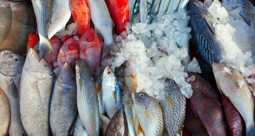В Роспотребнадзоре рассказали о рисках, связанных с употреблением рыбной продукции
